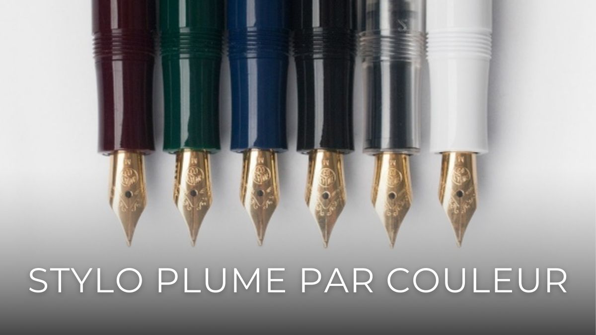 stylo plume par couleur